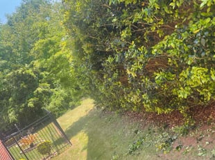 Bush Trimming by Amber Wright for Aaron A. in Locust Grove, GA