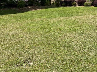 Pierrie S.'s Lawn Maintenance service result