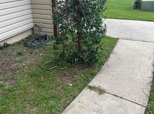 Bush Trimming by Paul Tollefson for Anne S. in Tallahassee, FL