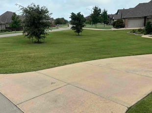 Sandy G.'s Lawn Mowing service result