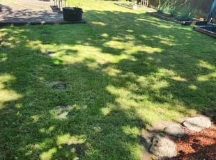 Heather B.'s Lawn Mowing service result