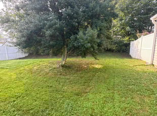 Lara P.'s Lawn Care service result