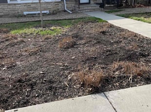 Cleanups by Connor Doyle for Dayo F. in Minneapolis, MN