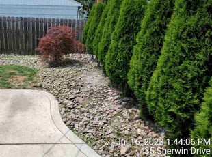 Weeding by Ronald Burton for Brooke S. in Tonawanda, NY