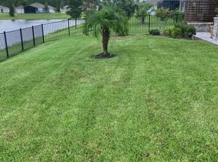 Bush Trimming by Roberto Dieuveut for Martin B. in Jacksonville, FL