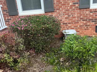 Bush Trimming by Cartouche Legrande Jr for Tacy N. in Greensboro, NC