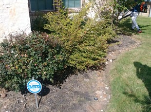 Weeding by Ricardo Serrano for Adolphus H. in San Antonio, TX