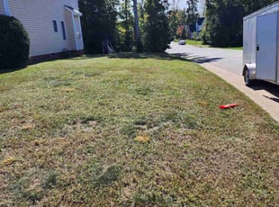 Bush Trimming by Gerald Spencer for Robert E. in Midlothian, VA