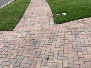 Weeding by Ramon Gonzalez for Sean A. in Orlando, FL