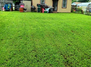 Nneka P.'s Lawn Care service result