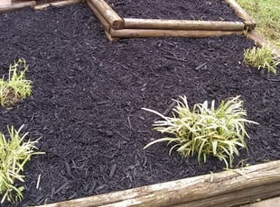 Mulching by Brian Most for Michelle F. in Olathe, KS