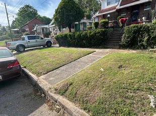 George B.'s Lawn Service service result