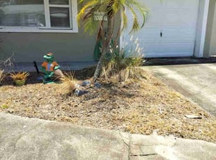 Weeding by Stephen Peffly for Tara A. in Saint Petersburg, FL