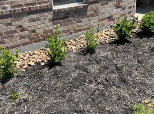 Weeding by Aaron Jones for Steven H. in New Caney, TX