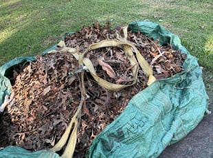 Leaf Removal by Latonya Talley for Camden M. in Forest Park, GA