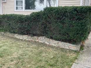 Bush Trimming by S&M Dgo Landscaping for Claudia B. in Chicago, IL