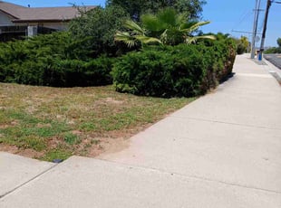 Bush Trimming by Dustyn Roberts for Sean C. in Escondido, CA