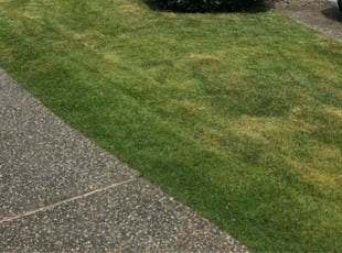 Cleanups by Jonah Wallen for Brian W. in Marysville, WA