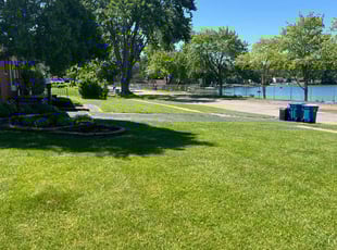Dave W.'s Grass Cutting service result