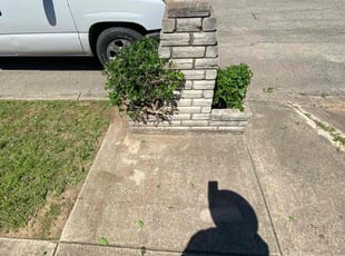Bush Trimming by Lacy Dixon for Rene G. in San Antonio, TX