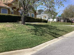 Ryan N.'s Lawn Maintenance service result