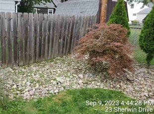 Weeding by Ronald Burton for Brooke S. in Tonawanda, NY