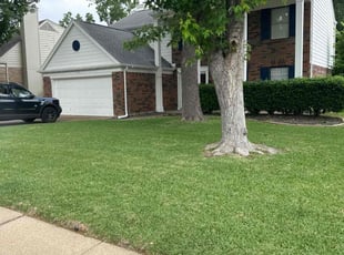 Beatrice G.'s Grass Cutting service result