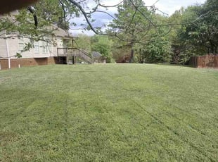 Ron B.'s Lawn Care service result