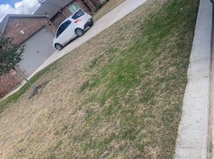 Bush Trimming by Jonathon Holland for Jessica T. in Katy, TX