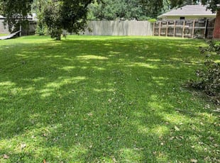 Jean H.'s Lawn Care service result