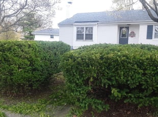 Bush Trimming by David Walton for Dawn W. in Columbus, OH