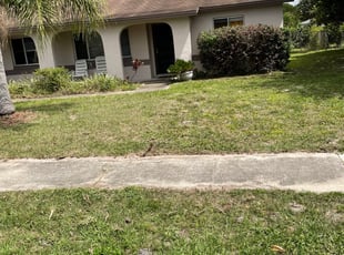 Bush Trimming by Joseph Grasso for Jessica P. in Orlando, FL
