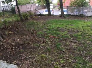 Leaf Removal by Sergio JimΓ©nez for Oulton H. in Stoughton, MA