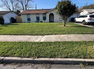 Jeanette H.'s Lawn Service service result