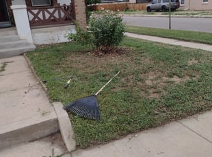 Bush Trimming by Joseph Schweffermann for Marianne W. in Denver, CO