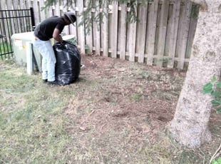Leaf Removal by Ronald Brown for Jordana C. in Carmel, IN