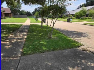 Dominic B.'s Grass Cutting service result