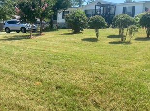 James P.'s Lawn Maintenance service result