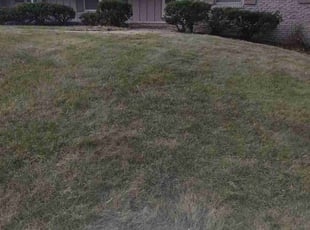 Bush Trimming by Tim Birch for Beth G. in Omaha, NE