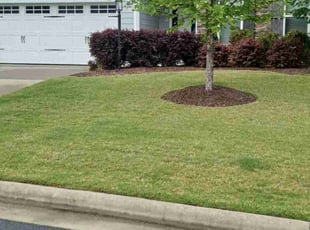 MaryAnn K.'s Lawn Maintenance service result