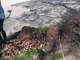 Leaf Removal by Kevin Rhyne for Inyoung H. in Madison, WI