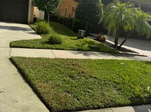 AnnaMarie M.'s Lawn Care service result