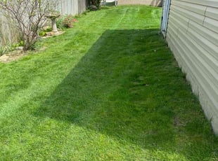 Steve R.'s Lawn Maintenance service result