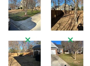 Leaf Removal by Taylor Johnson for Mark R. in Charlotte, NC