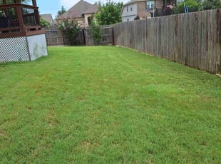 Monique A.'s Lawn Mowing Service service result