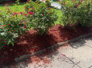 Mulching by Caree Keith for Brendan D. in Washington, DC