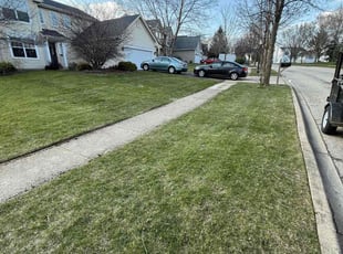 David K.'s Grass Cutting service result