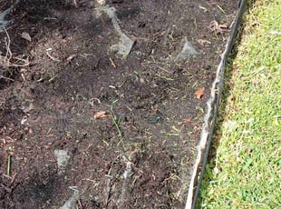 Weeding by Maximiliano Xitumul for Reid P. in Austin, TX