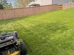 Mike M.'s Lawn Care service result