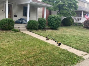 Bush Trimming by Aljernon Smith for Kaitlyn M. in Clairton, PA